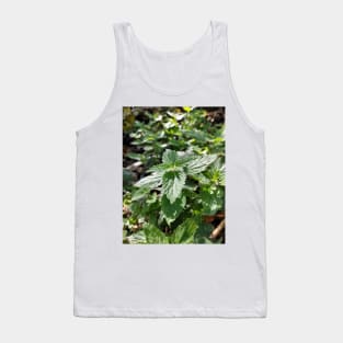 Nettle Tank Top